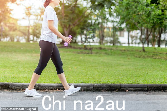 瑞典科学家说,一开始就挤压锻炼可能是最好的减肥方法