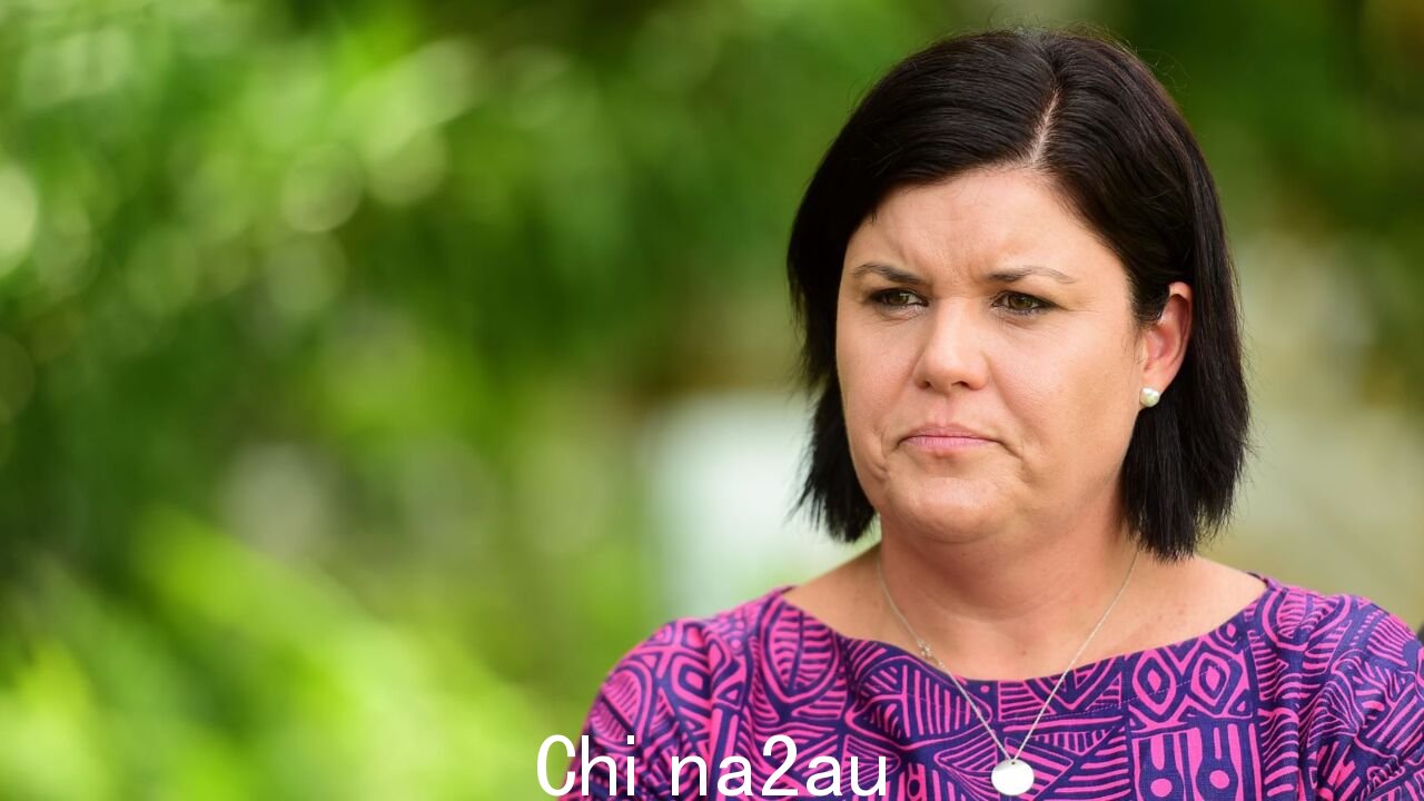 Natasha Fyles 拒绝为“基于意识形态的政策”让人们容易受到伤害” /><p>北领地反对派指责政府在本周实施全面禁酒令之前采取行动太慢,无法保护最弱势群体免受酒精引发的暴力侵害.</p><p>在接受全国对犯罪激增的审查后,工党政府将向议会提交立法,议会将重新实施禁令,直到社区在选择退出的安排下制定酒精管理计划。</p><p >在艾丽斯斯普林斯暴力事件增加后,总理安东尼·艾博年下令对酒类法律进行快速审查,建议采取这一举措。</p><img class=