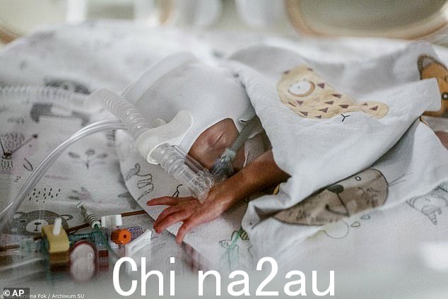 孩子们 - 三个女孩和两个男孩 - 被命名为阿里安娜黛西、查尔斯帕特里克、伊丽莎白梅、伊万杰琳罗斯和d Henry James