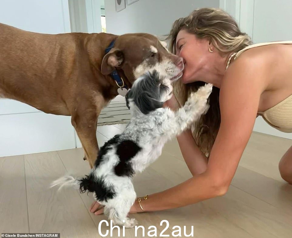 走秀者的犬吻:Vogue 模特与她的狗合影,它们依偎在她的迈阿密豪宅中