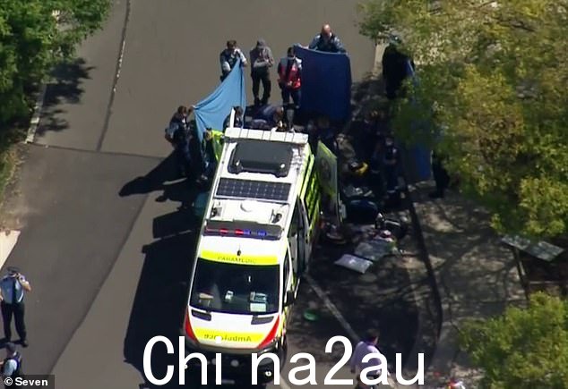 三辆救护车和一架空中救护车赶到现场,对男孩进行心肺复苏术