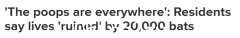粪便漫天飞，悉尼2万只蝙蝠成了附近居民的“噩梦”！有的人几年没睡好觉，房子卖不出去（图）