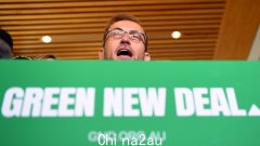 环境部长 Tanya Plibersek 对绿党表示反对工党的保障机制感到“震惊”