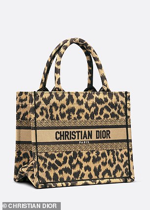 时尚爱好者的 DIY 配饰是价值 4,900 美元的 Christian Dior 手提包的完美预算骗局