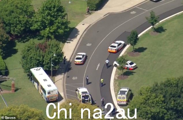 图片显示，这辆公共汽车似乎穿过一条人行道，撞到了悉尼西南部麦克阿瑟圣公会学校的一棵树（如图）