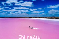 涌动湖：南澳最吸睛的粉红湖（图）