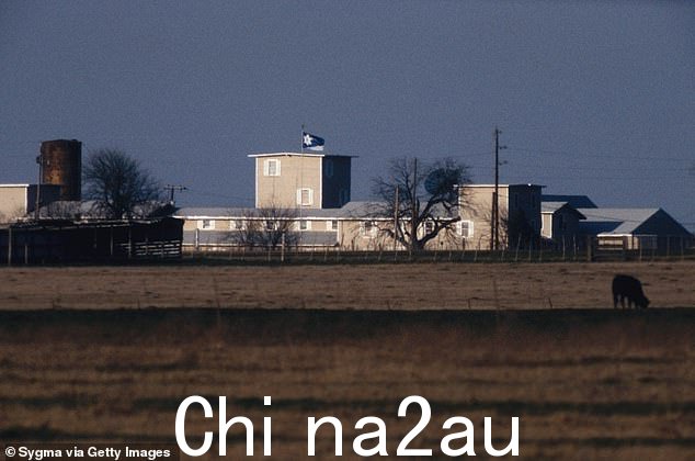现在的启示录:卡梅尔山大院位于德克萨斯州韦科九英里的灌木丛中