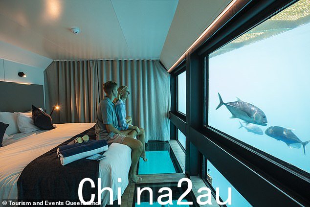 Reefsleep 的 Reefsuite,澳大利亚第一个erwater accommodation,为您提供 Hardy Reef 令人惊叹的海洋生物的前排座位