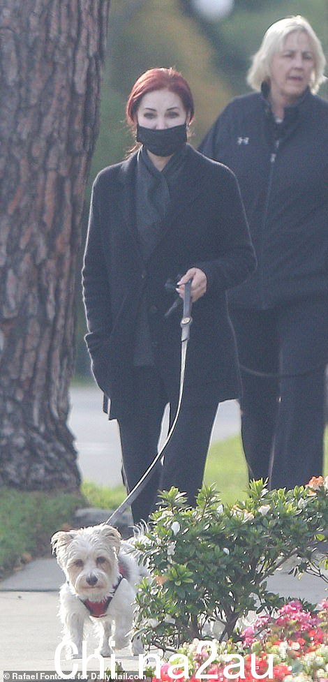Priscilla Presley 在世纪城遛狗