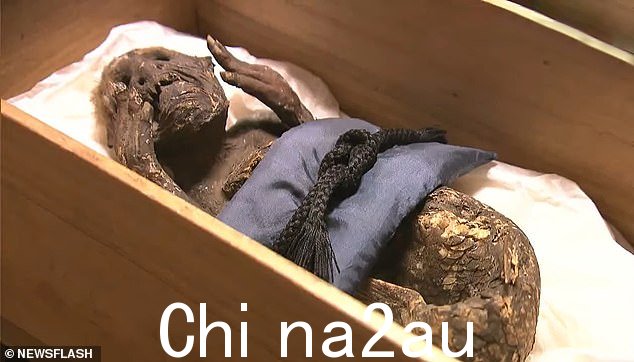 据称该生物于 1736 年至 1741 年间在日本四国岛外的太平洋捕获