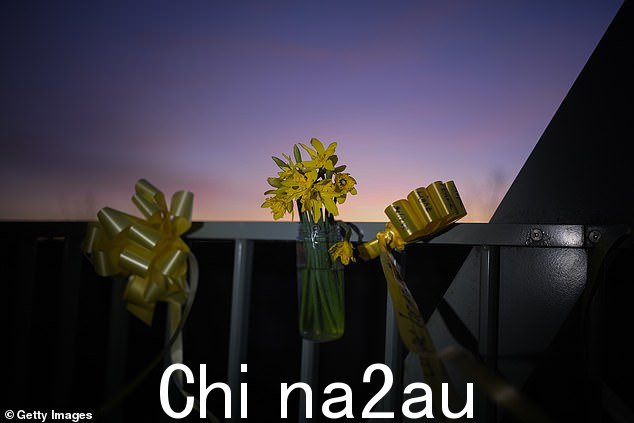 今天晚上,在发现一具尸体后,黄丝带和水仙花装饰在怀尔河畔圣迈克尔的怀尔河上的人行桥上