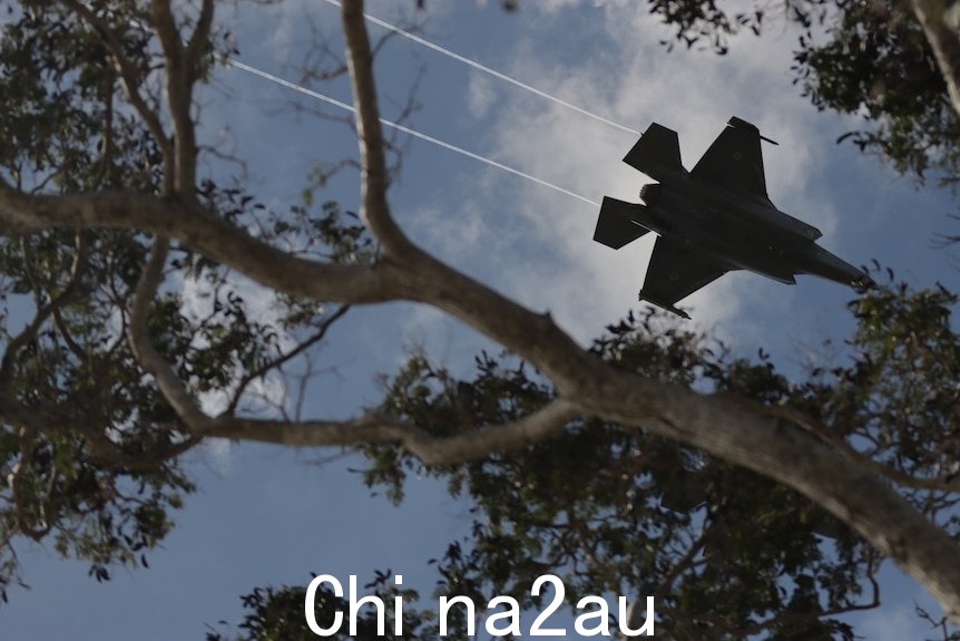 一架喷气式战斗机飞过天空，从树枝上看到。