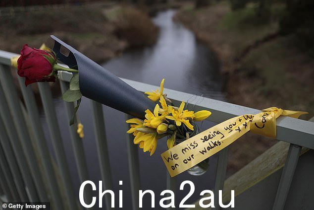 一朵红玫瑰、水仙花和一条黄丝带,在怀尔河畔圣迈克尔的怀尔河上的一座人行桥上写着一条信息