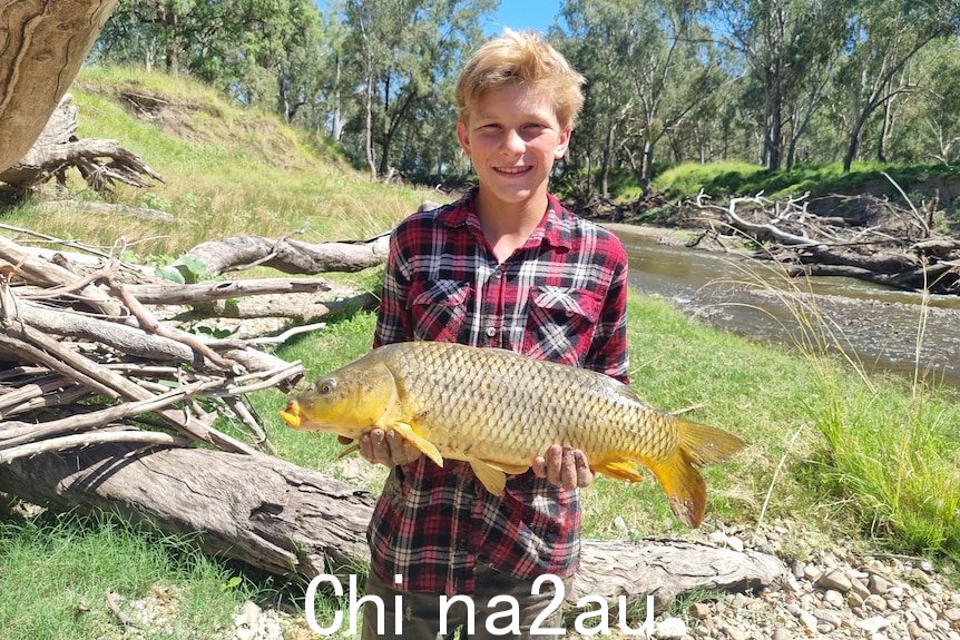 一个穿着格子衬衫的金发男孩举着一条黄色的大鲤鱼他身后的河流。” width=