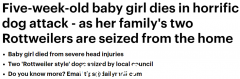 新南威尔士州一名5周大的女婴被恶犬袭击，不幸身亡！父母当场昏倒 警方展开调查(组图)