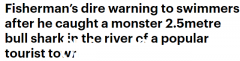 这条2.5米长的牛鲨是在澳大利亚的一个热门旅游景点捕获的。渔民警告：这里已经被淹了，迟早要出事（视频/照片）