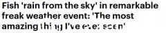 稀有的！澳洲小镇“鱼”从天而降，当地居民惊叹：最神奇的事（组图）