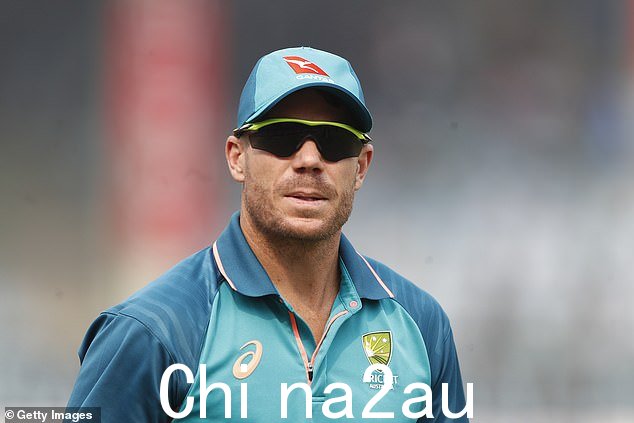 David Warner 将在第二次测试中遭受脑震荡后返回澳大利亚