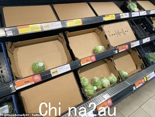 对英国本土种植的作物如胡萝卜、卷心菜、防风草和花椰菜的霜冻也意味着许多田地已经被注销