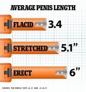 最新数据：30年来男性阴茎长度增长25%，医生却忧心忡忡（图）