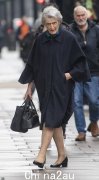 苏珊·赫西夫人回来代表安妮公主执行公务