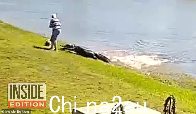 Gloria Serge,85 岁,周一在佛罗里达州皮尔斯堡的西班牙 Lakes Fairways 社区的湖边遛狗时,一只鳄鱼袭击了她,将她拖入水中