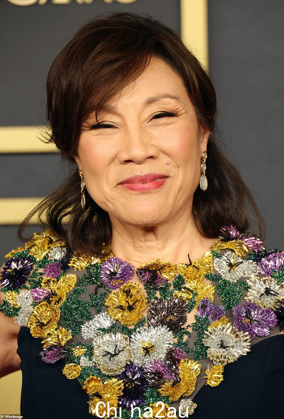 美女是美国电影艺术与科学学院院长