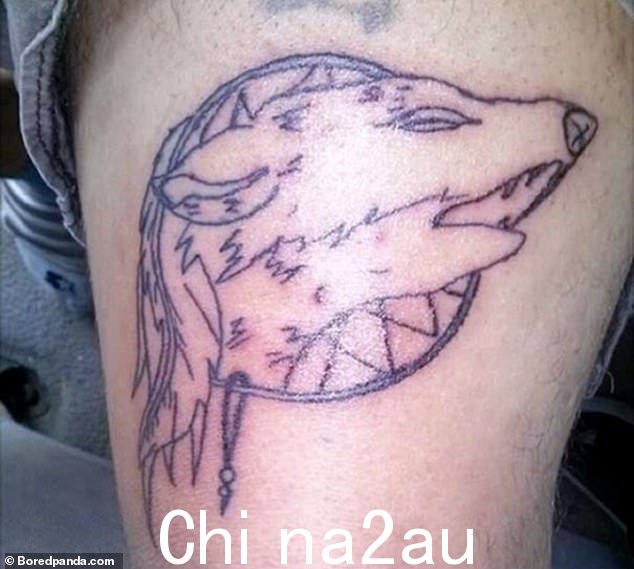 是兔子吗?一只狼?雪貂?世界可能永远不会知道!