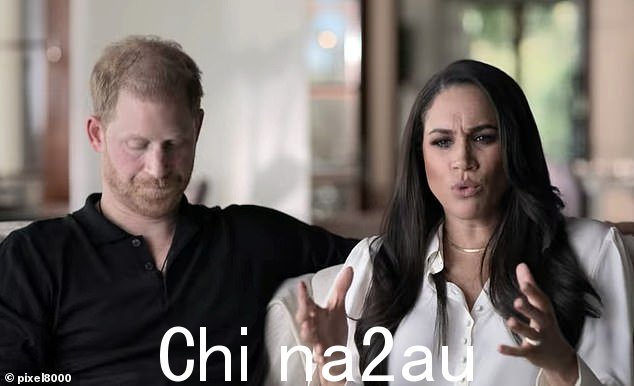 自从 2020 年英国脱欧以来,这对夫妇一直在寻求“隐私”,并与 Spotify 和 Netflix 签署了一份利润丰厚的协议
