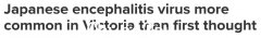 维多利亚当局严重低估了感染“致命脑炎病毒”的人数。去年至少招了26人（图）