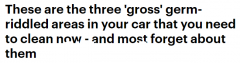 车上这三个地方原来这么脏！悉尼女子分享自己的清洁小窍门，引发网友质疑：还能这么擦吗？ （视频/照片）