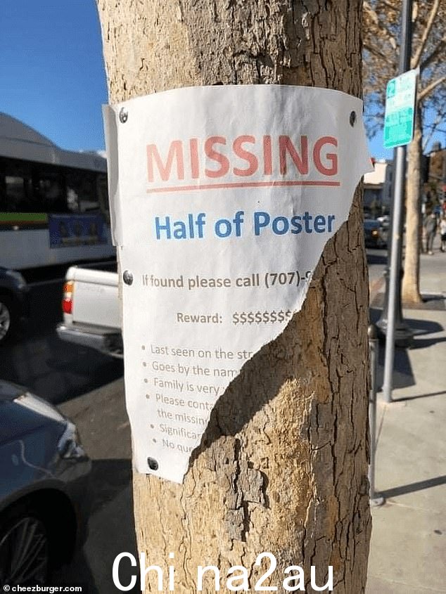 当失踪的海报不见了!在加利福尼亚州的一棵树上发现的这个标志可能无法帮助找到误入歧途的宠物或人