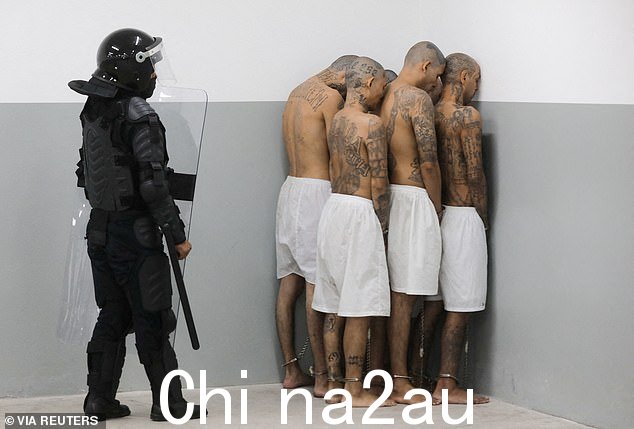 一名狱警看守帮派成员,因为他们在他们的 arr 被处理根据萨尔瓦多总统纳伊布布克勒的说法,在 2000 名帮派成员被转移到恐怖主义监禁中心后,在萨尔瓦多特科卢卡