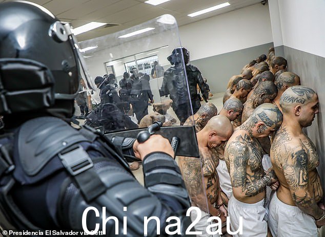 人权组织谴责滥用职权和违反正当程序,但萨尔瓦多是拉丁美洲犯罪率最高的国家之一
