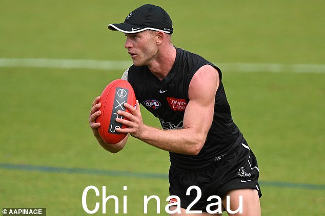 这位 AFL 明星感谢球迷的支持,并说他的另一只宠物狗 Nala 疯了