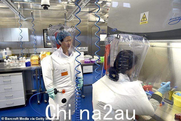 病毒学家石正丽——绰号“蝙蝠女”——在实验室里合影。她在蝙蝠洞中捕获了数十种致命的类 COVID 病毒,并在 WIV 进行了研究