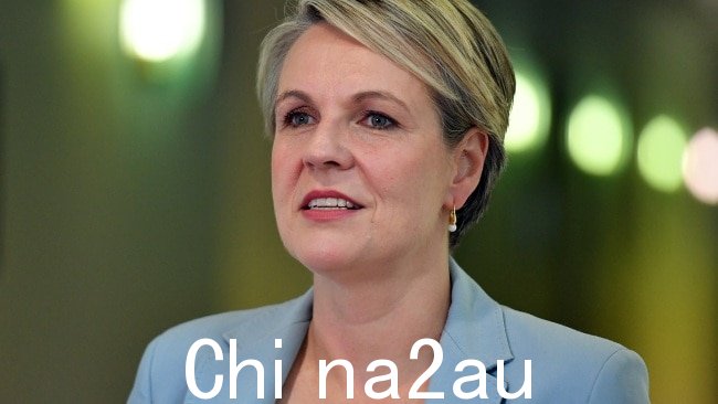 环境部长 Tanya Plibersek 驳回了担忧，并表示两人是有着“极好的工作关系”的好朋友。图片：Getty Images