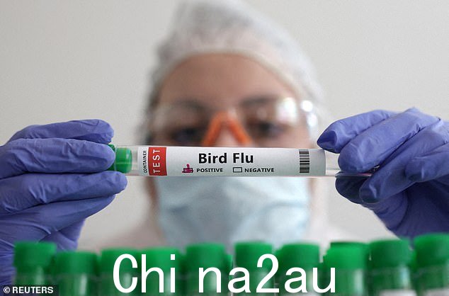 领导英国抗击病原体的伊恩·布朗教授在接受 i 采访时说,预计欧洲国家将在 3 月底前就疫苗接种做出决定。他补充说:“一些部门热衷于接种疫苗,其他部门并不那么热衷于接种疫苗。我们的工作只是设定科学并说这是我们对这些疫苗的了解'