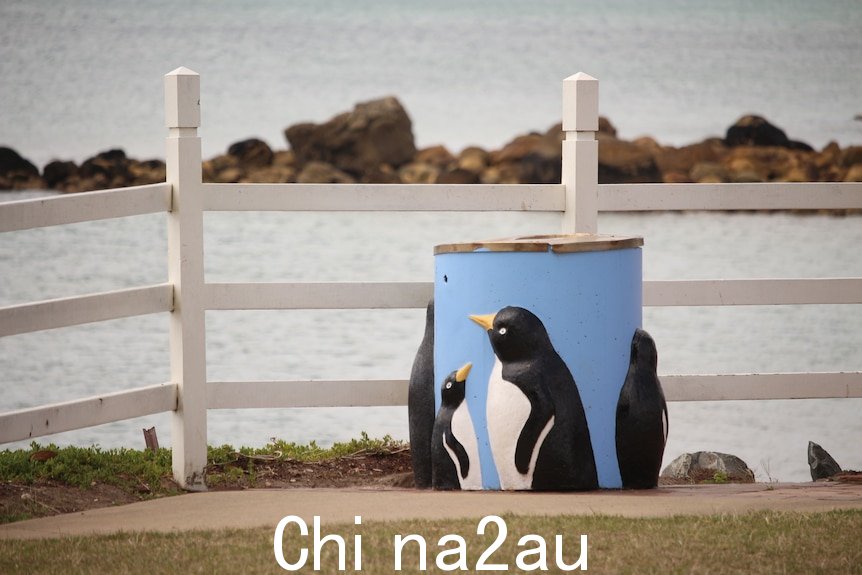 一个蓝色的垃圾箱，在大海前面的一侧有企鹅