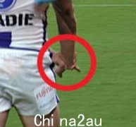 尽管在 NRL 与鳗鱼队的冲突中受伤，墨尔本风暴明星卡梅伦明斯特仍可以在下周上场