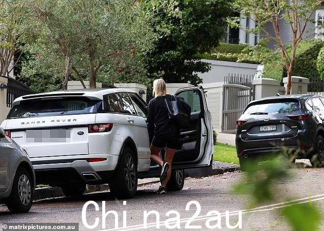 卡尔·斯特凡诺维奇的妻子贾斯敏的妹妹据说对公众混战感到极其尴尬