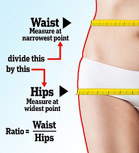 腰臀比是被吹捧为取代 BMI 的竞争者之一。它的计算方法是用腰围除以臀围。比率为 0.85 或更高的女性和得分为 0.9 或更高的男性被认为具有内脏脂肪的高风险水平