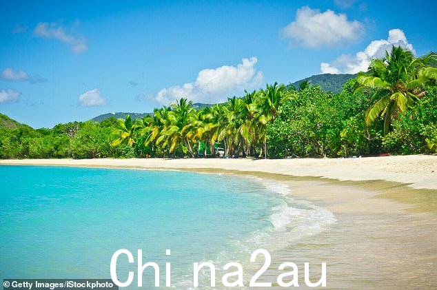 美丽、未受破坏的托尔托拉岛(在西班牙语中意为斑鸠)是游客的天堂