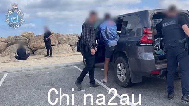 这次行动导致 12 人被捕。图片:WA Police