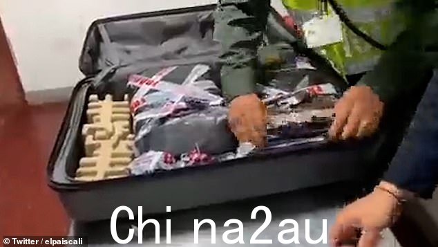 地方当局表示,这名英国男子的“可疑态度”惊动了警方和一只名叫 Maximo 的专业嗅探犬后,他们被拦下并进行了搜查。
