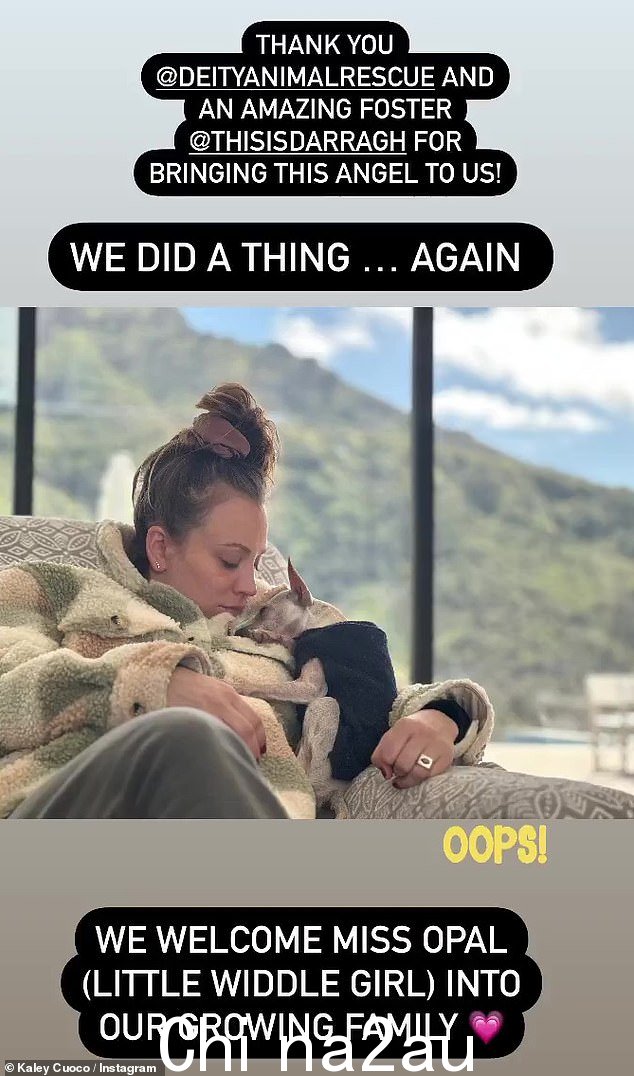 最新的家庭成员:怀孕的 37 岁的 Kaley Cuoco 和她的搭档 Tom Pelphrey 在星期四迎来了一只新狗进入他们不断壮大的家庭 - 一只名叫 Opal 的救援吉娃娃
