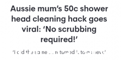 得到！澳洲妈妈分享花洒清洗小窍门，省时省力又省钱，疯狂上传到网上（组图）