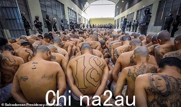 第一批 2,000 名帮派成员从伊萨尔科监狱转移到配备高科技监控的“美国最大”特大监狱