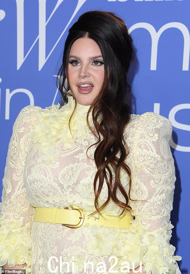 提示:Lana Del Rey 暗示她可以在音乐节阵容公布后退出格拉斯顿伯里
