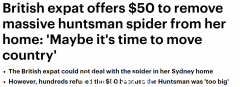 悉尼公寓出现巨型蜘蛛，女子出价50元求救！网友：给500元你就不干了（图）